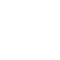 Icon (1)
